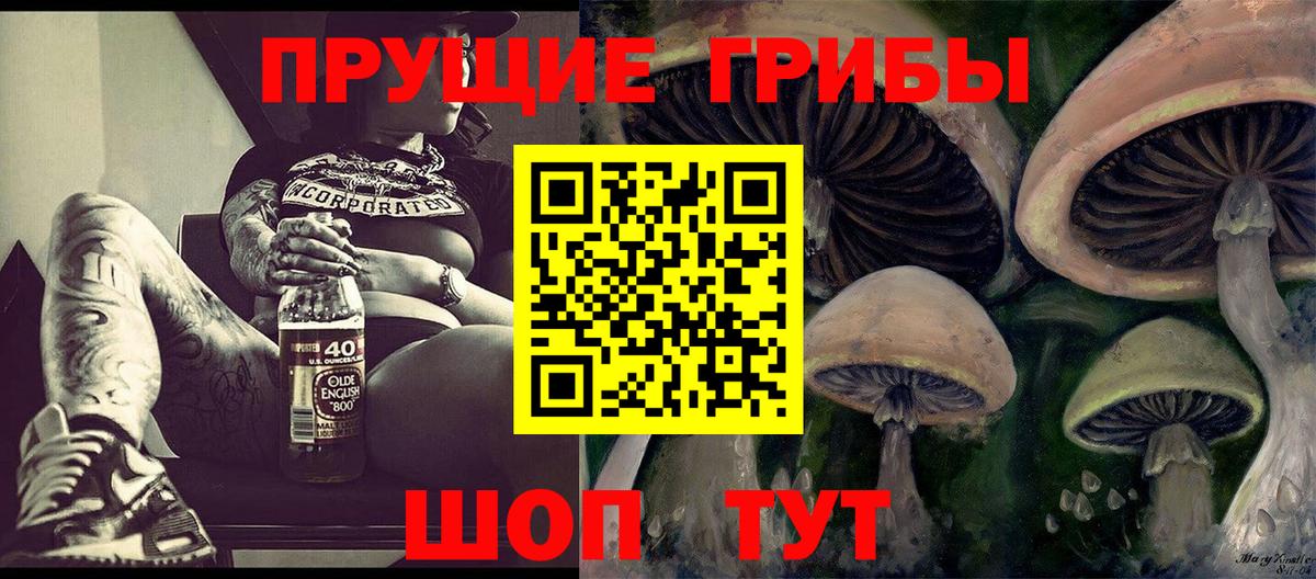 Галлюциногенные грибы Psilocybine cubensis  Псилоцибиновые грибы прущие грибы  Туймазы  Вход с VPN 