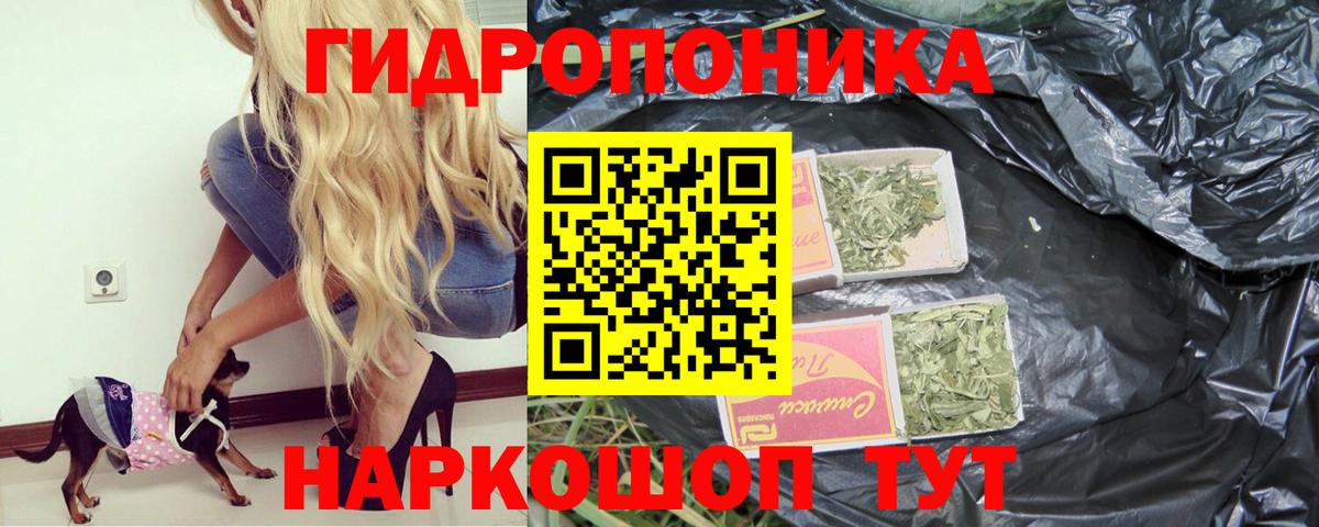 Бошки Шишки индика Туймазы